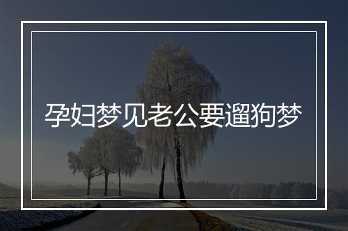 孕妇梦见老公要遛狗梦