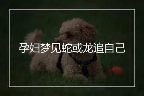 孕妇梦见蛇或龙追自己