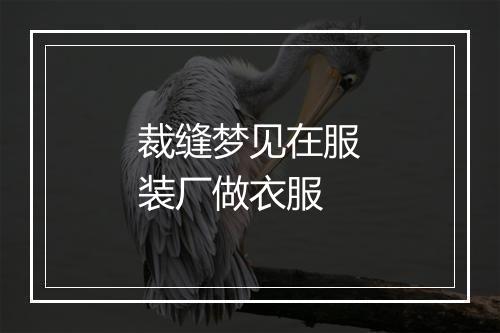 裁缝梦见在服装厂做衣服