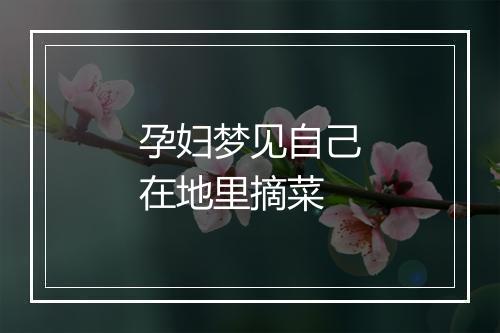 孕妇梦见自己在地里摘菜