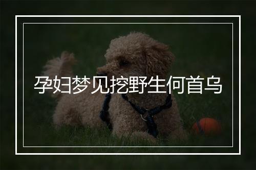 孕妇梦见挖野生何首乌