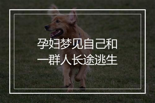 孕妇梦见自己和一群人长途逃生