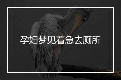 孕妇梦见着急去厕所