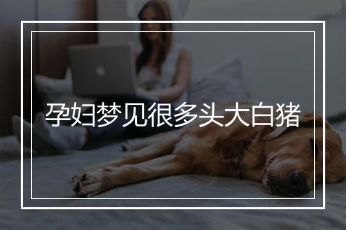 孕妇梦见很多头大白猪