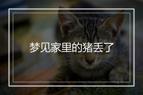 梦见家里的猪丢了