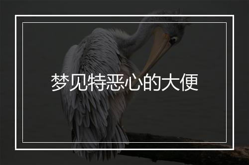 梦见特恶心的大便