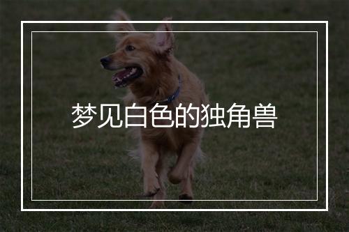 梦见白色的独角兽