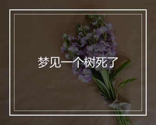 梦见一个树死了