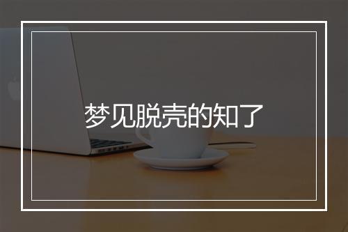 梦见脱壳的知了