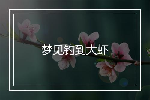 梦见钓到大虾