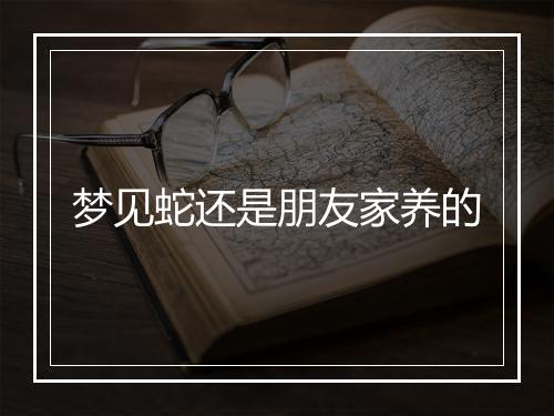 梦见蛇还是朋友家养的