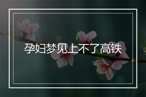 孕妇梦见上不了高铁