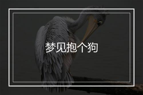 梦见抱个狗