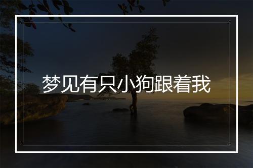 梦见有只小狗跟着我