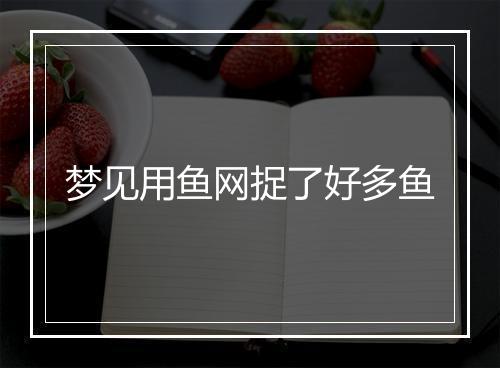 梦见用鱼网捉了好多鱼