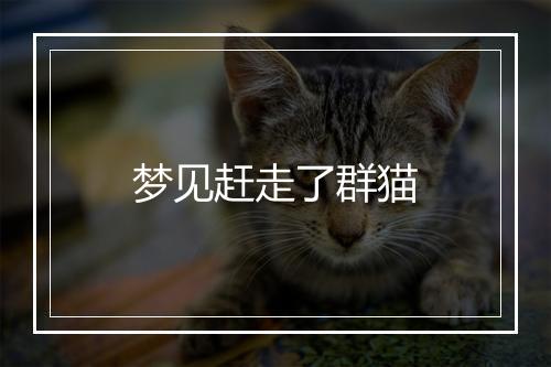 梦见赶走了群猫