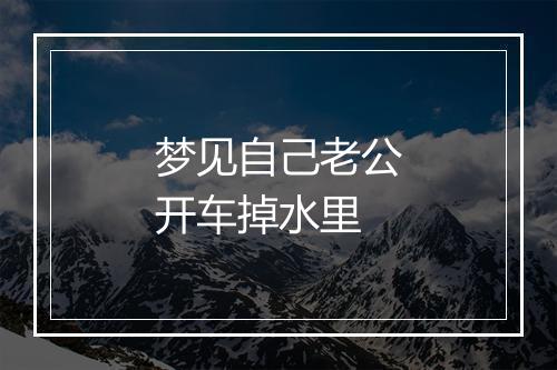 梦见自己老公开车掉水里