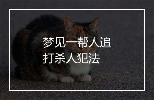 梦见一帮人追打杀人犯法