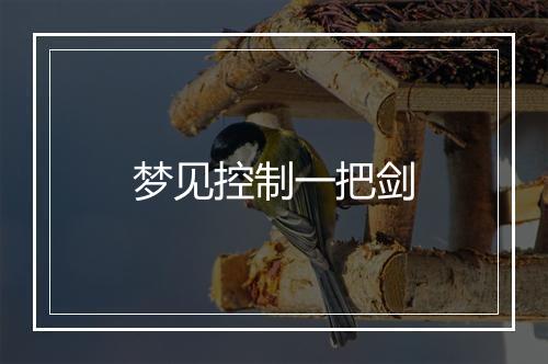 梦见控制一把剑