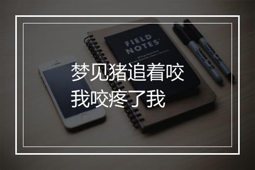 梦见猪追着咬我咬疼了我