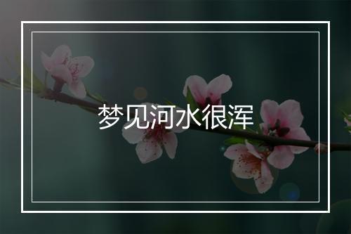 梦见河水很浑