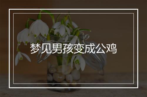 梦见男孩变成公鸡