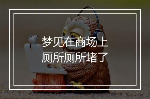 梦见在商场上厕所厕所堵了