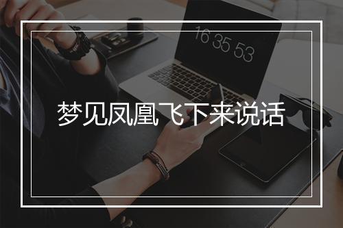 梦见凤凰飞下来说话