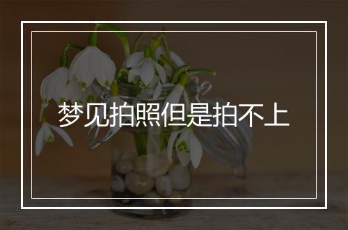 梦见拍照但是拍不上