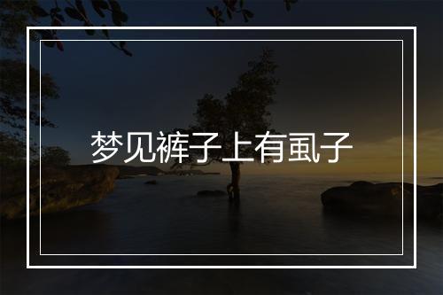 梦见裤子上有虱子