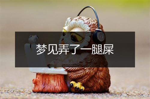 梦见弄了一腿屎