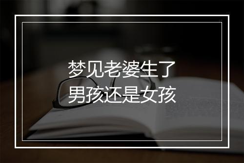 梦见老婆生了男孩还是女孩