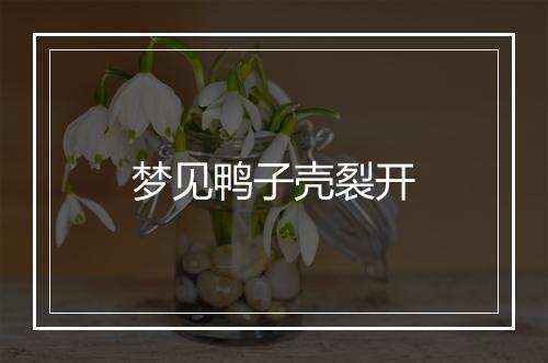 梦见鸭子壳裂开