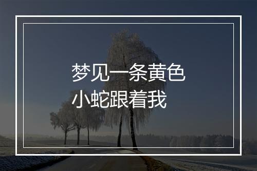 梦见一条黄色小蛇跟着我