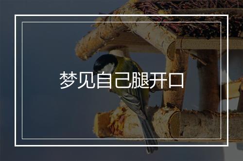 梦见自己腿开口