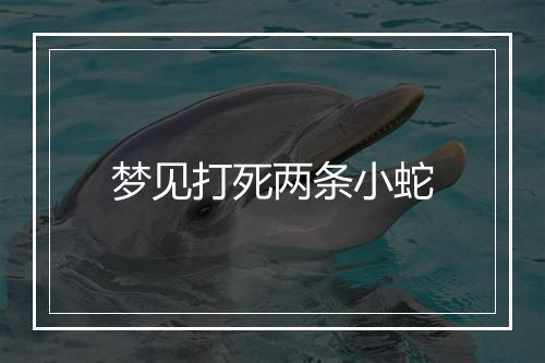 梦见打死两条小蛇