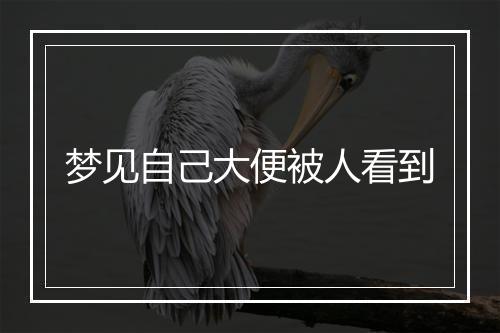 梦见自己大便被人看到