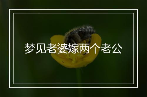 梦见老婆嫁两个老公