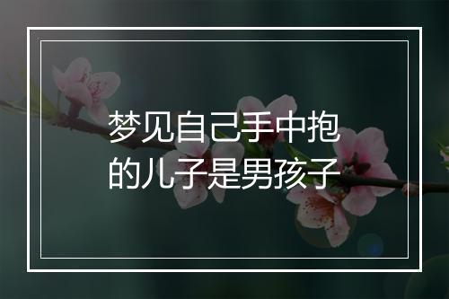 梦见自己手中抱的儿子是男孩子