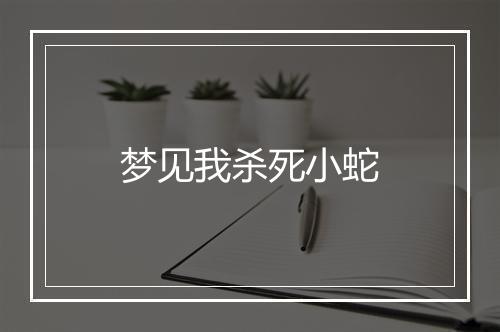 梦见我杀死小蛇