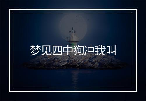 梦见四中狗冲我叫