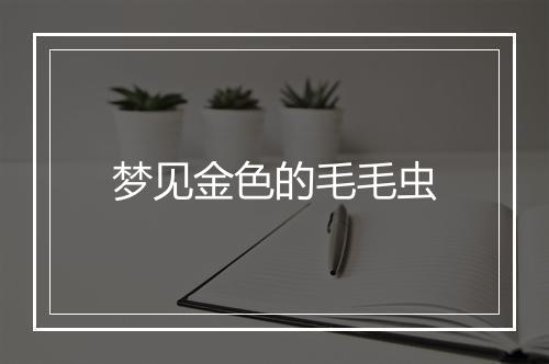 梦见金色的毛毛虫