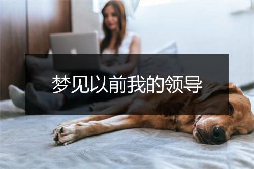 梦见以前我的领导