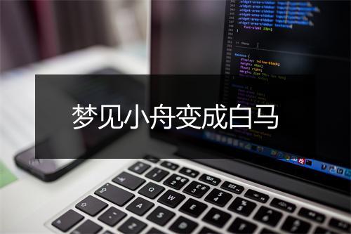 梦见小舟变成白马