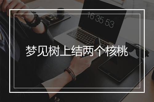 梦见树上结两个核桃