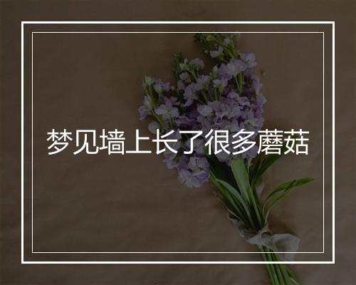 梦见墙上长了很多蘑菇