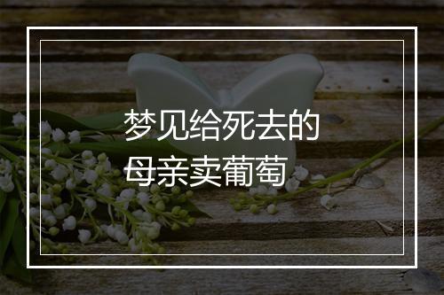 梦见给死去的母亲卖葡萄