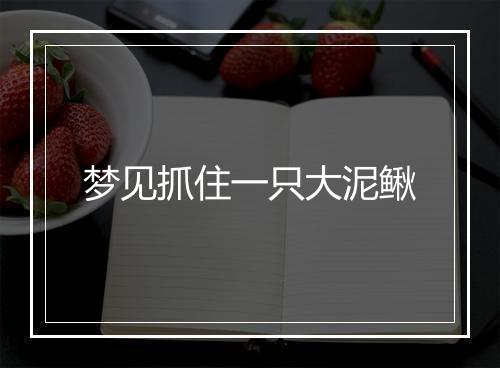 梦见抓住一只大泥鳅