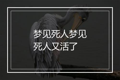 梦见死人梦见死人又活了