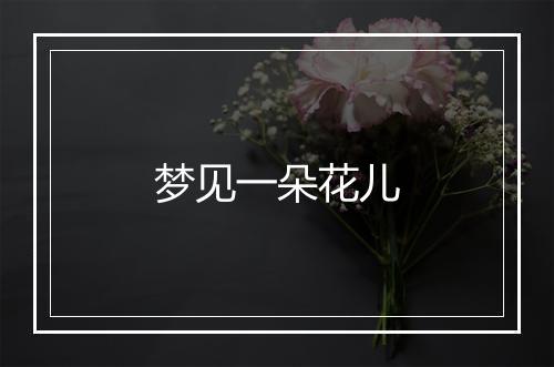 梦见一朵花儿